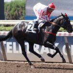 Black Knight, horse, Constitution, Clásico Ciudad de Santiago, Clásico Ciudad de Santiago, jueves, 16 de febrero de 2023, Hipódromo Chile. Foto: Jaime Cortés