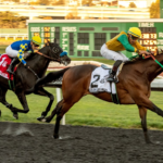 Chase The Chaos, horse, Astern, El Real Camino Derby, sábado, 11 de febrero de 2023, Golden Gate Field. Foto: Shane Micheli & Vassar Photography