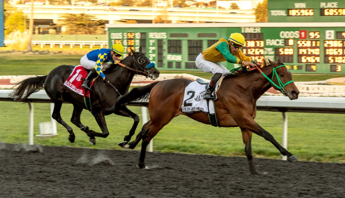 Chase The Chaos, horse, Astern, El Real Camino Derby, sábado, 11 de febrero de 2023, Golden Gate Field. Foto: Shane Micheli & Vassar Photography