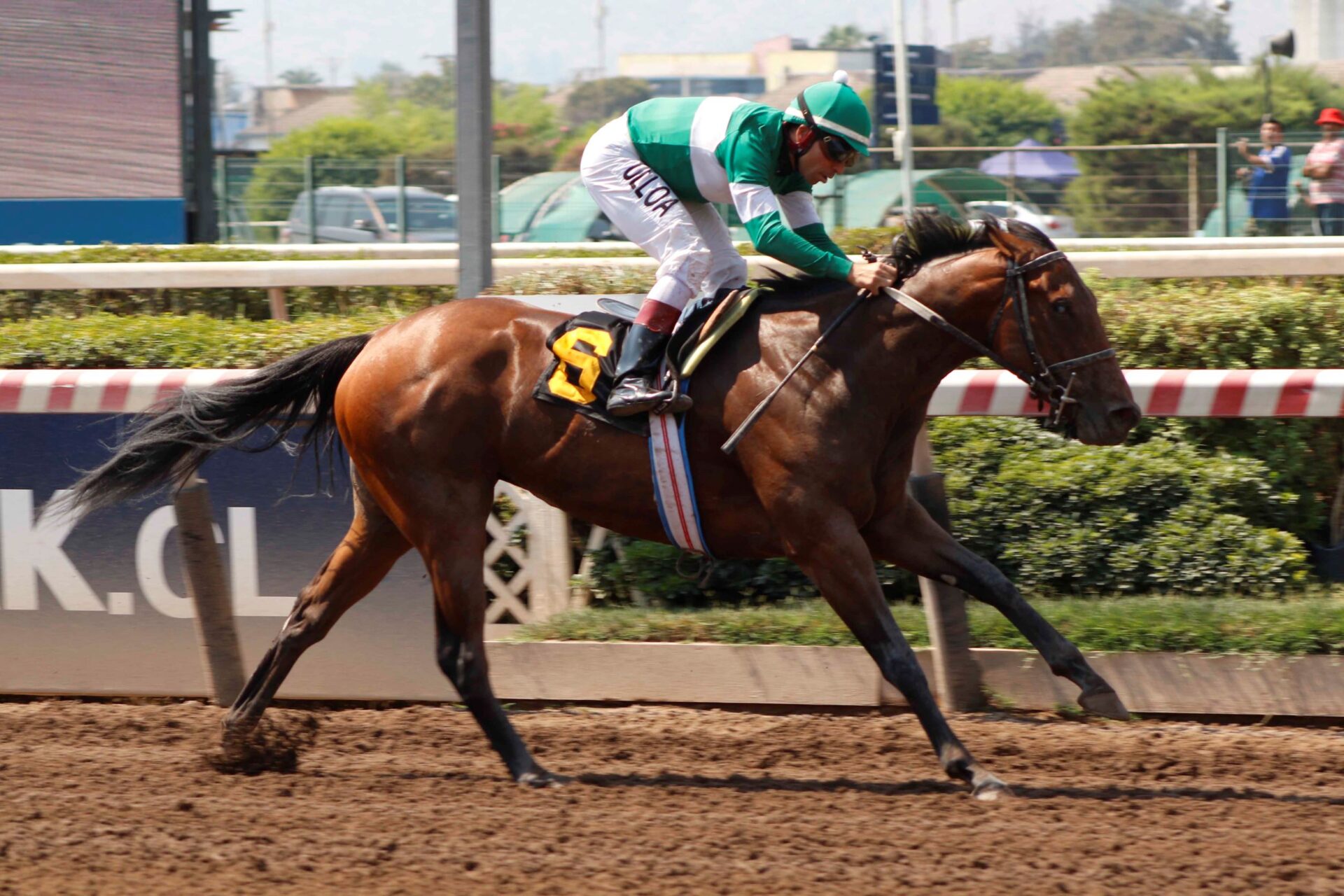 Dulce Encanto, horse, Haras Don Alberto, Clásico Provita, sábado, 11 de febrero de 2023, Hipódromo Chile. Foto: Jaime Cortés