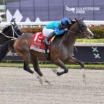 General Jim, horse, Fifth Avenue Bloodstock, Swale Stakes, sábado, 4 de febrero de 2023, Gulsftream Park. Foto: Coglianese Photo