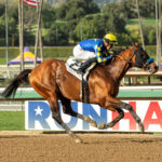 Hopkins, Horses, Quality Road, Los Palos Verdes Stakes, domingo, 5 de febrero de 2023, Santa Anita Park. Foto: Benoit Photo