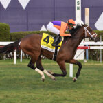 Major Dude, horse, Bolt d´Oro, Kitten´s Joy Stakes, sábado, 4 de febrero de 2023, Gulsftream Park. Foto: Coglianese Photo