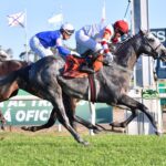 Miriñaque, horse, Hurricane Cat, Clásico Miguel Martínez De Hoz, domingo, 5 de febrero de 2023, Hipódromo de San Isidro. Foto: Prensa HSI