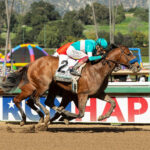 Newgate, horse, Empire Maker, Robert B. Lewis, sábado, 4 de febrero de 2023, Santa Anita Park. Foto: Benoit Photo