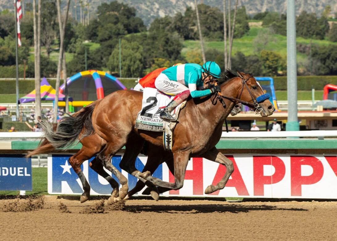 Newgate, horse, Empire Maker, Robert B. Lewis, sábado, 4 de febrero de 2023, Santa Anita Park. Foto: Benoit Photo