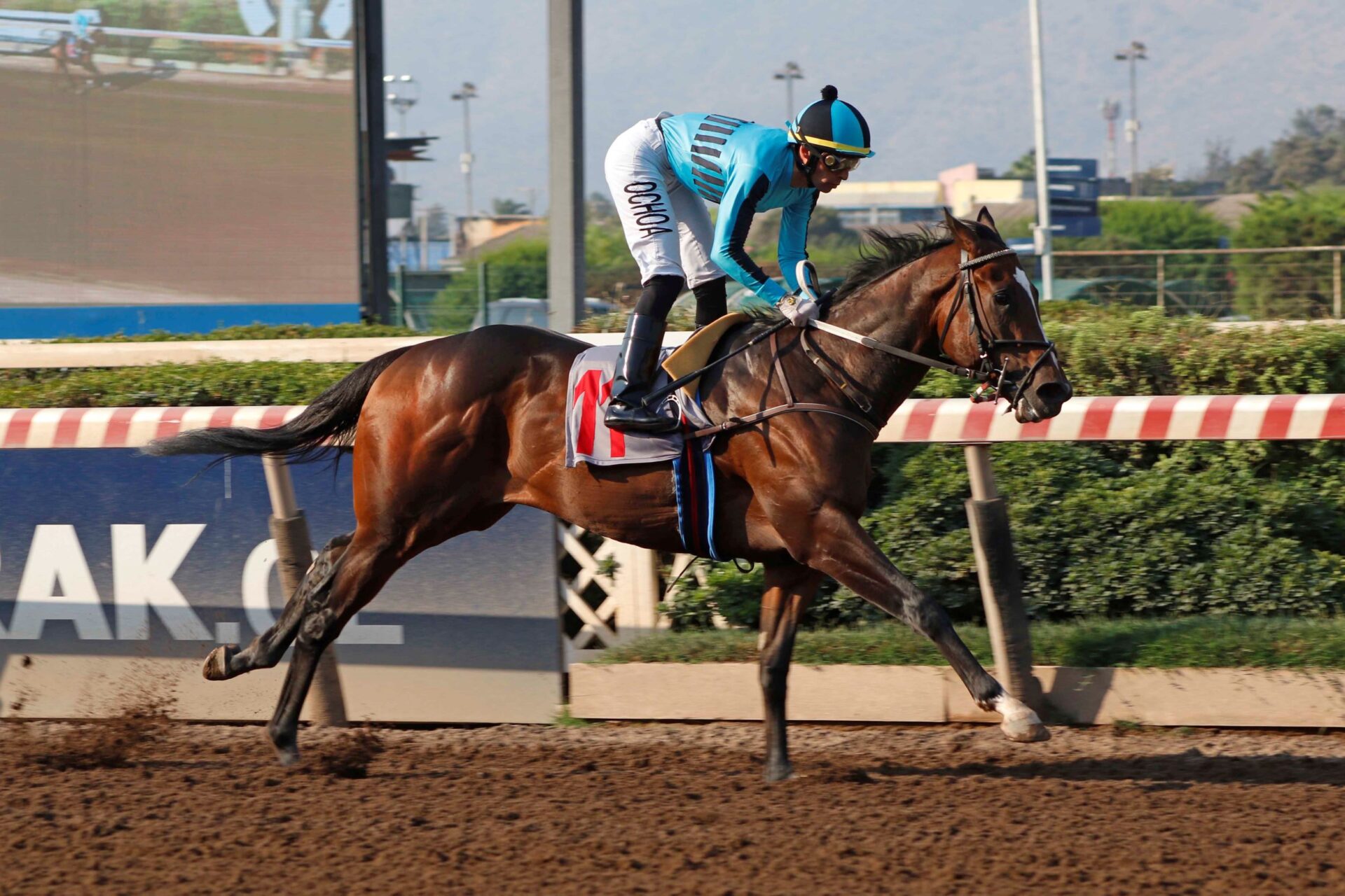 Orgullo Vencido, horse, Ahora II, Clásico Geólogo, sábado, 14 de enero de 2023, Hipódromo Chile. Foto: Jaime Cortés