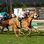 Prince Abama, Horses, Tamayuz (IRE), San Marcos Stakes, domingo, 5 de febrero de 2023, Santa Anita Park. Foto: Benoit Photo