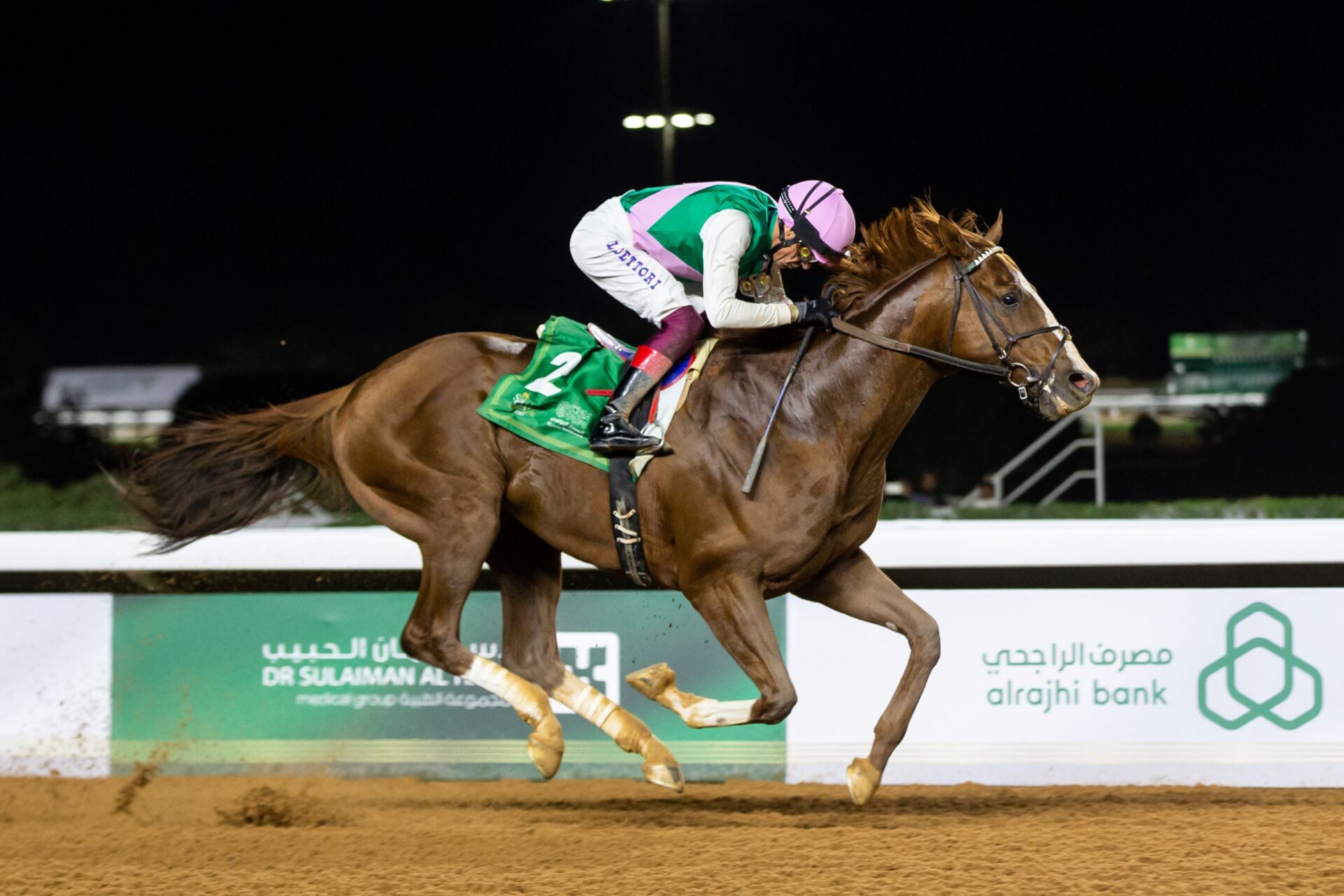 Elite Power, Horses, Curlin, Sports Boulevard Riyadh Dirt Sprint, Hipódromo de King Abdul Aziz, sábado, 25 de febrero de 2023. Erika Rasmussen