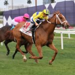 Red Knight, horse, Pure Prize, William McKnight Stakes, sábado, 28 de enero de 2023, Gulsftream Park. Foto: Coglianese Photo