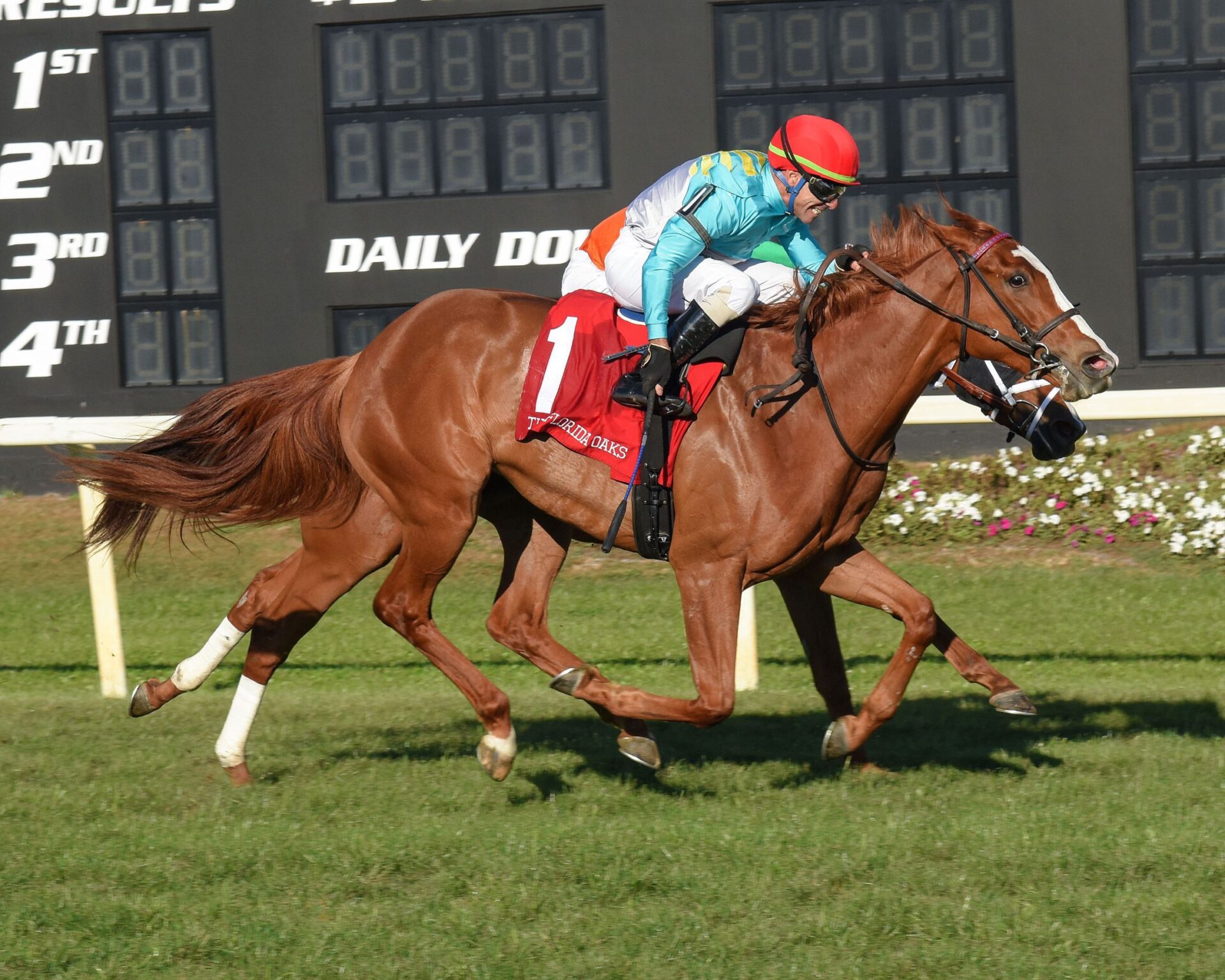 Mission Of Joy, horse, Kitten´s Joy, Florida Oaks, sábado, 11 de marzo de 2023, Tampa Bay Downs. Foto: SV Photography