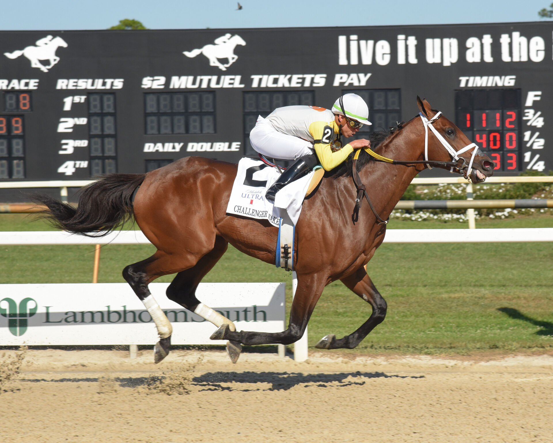 Skippylongstocking, horse, Brushy Hill LLC, Michelob Ultra Challenger, sábado, 11 de marzo de 2023, Tampa Bay Downs. Foto: SV Photography
