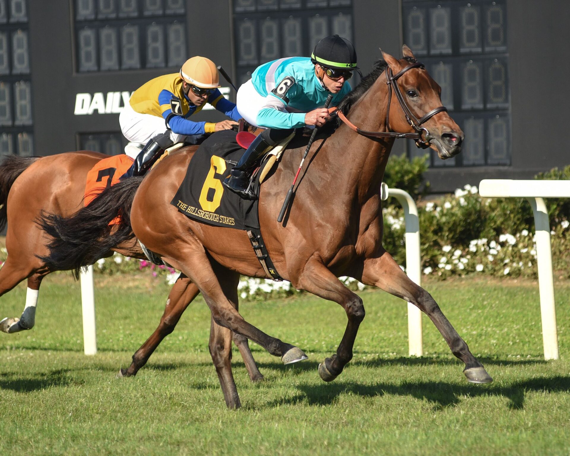 Shantisara, horse, Coulsty, Hillsborough Stakes, sábado, 11 de marzo de 2023, Tampa Bay Downs. Foto: SV Photography
