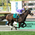 Bellet Dancing, Horses, Medaglia d´Oro, Santa Ana Stakes, domingo, 12 de marzo de 2023, Santa Anita Park. Foto: Benoit Photo