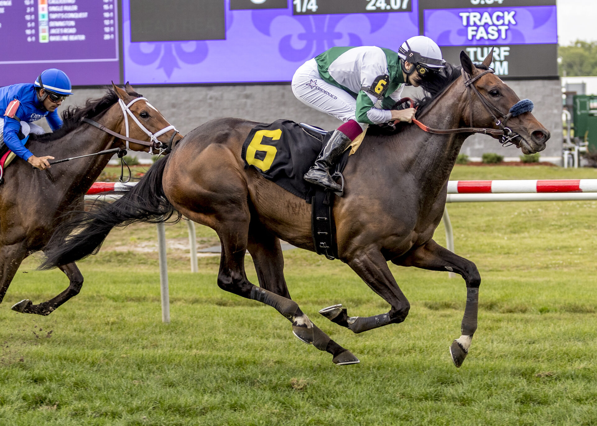 Didia, horses, Orpen, Tom Benson Memorial Stakes, sábado, 25 de marzo de 2023, Fair Grounds. Foto: Hodges Photography