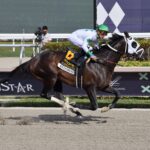 Endorsed, horse, Godolphin, Fred W. Hooper Stakes, sábado, 28 de enero de 2023, Gulsftream Park. Foto: Coglianese Photo