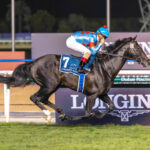 Equinox, Horses, Kitasan Black, Longines Dubai Sheema Classic, Meydan Racecourse, sábado, 25 de marzo de 2023. Foto: Dubái Racing Club