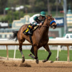 Faiza, Horses, Girvin, Santa Ysabel Stakes, domingo, 5 de domingo de 2023, Santa Anita Park. Foto: Benoit Photo