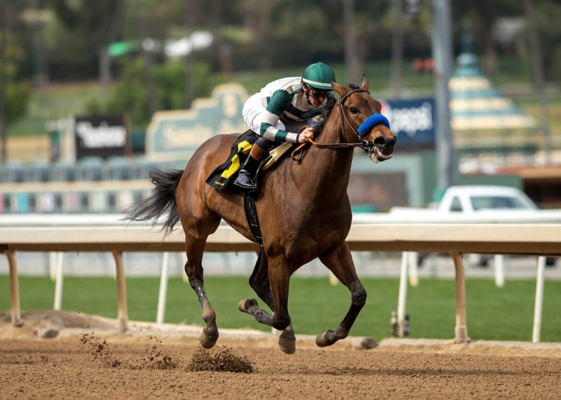 Faiza, Horses, Girvin, Santa Ysabel Stakes, domingo, 5 de domingo de 2023, Santa Anita Park. Foto: Benoit Photo