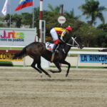 Fast Sensations, horse, Haras Los Caracaros, Clásico Ana María Freudman, domingo, 12 de marzo de 2023, La Rinconada. Foto: José Antonio Aray