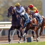 Golden Sixty, horse, Medaglia d´Oro, Stewards' Cup, domingo, 29 de enero de 2023, Sha Tin. Foto: Honk Kong Jockey Club (Copyright)
