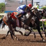 Julius Cesare, horse, Haras San Patricio, Clásico Universidad Mayor, jueves, 16 de marzo de 2023, Hipódromo Chile. Foto: Jaime Cortés