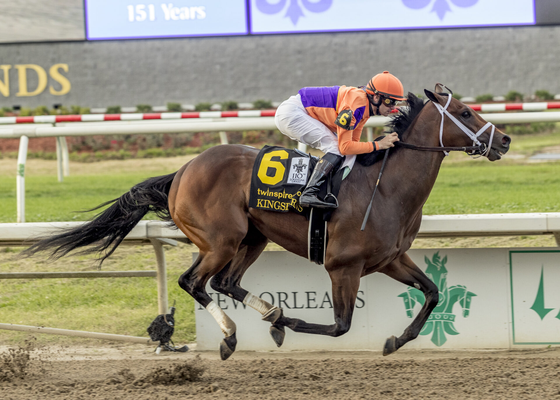 Kingsbarns, horses, Spendthrif Farm, Louisiana Derby, sábado, 25 de marzo de 2023, Fair Grounds. Foto: Hodges Photography