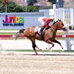 La Sensacional, horse, King Seraf, Clásico Eduardo Larrazábal, domingo, 19 de marzo, de 2023, La Rinconada. Foto: José Antonio Aray