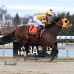 Little Vic, horse, Practical Joke, Tom Fool Stakes, domingo, 4 de marzo de 2023, Aqueduct. Foto: Coglaniese Photo & Susie Raisher