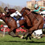 Mamá Lili, horse, Haras Don Alberto, Clásico Coronación Pablo Baraona Urzua, domingo, 19 de marzo de 2023, Club Hípico de Santiago. Foto: Jaime Cortés