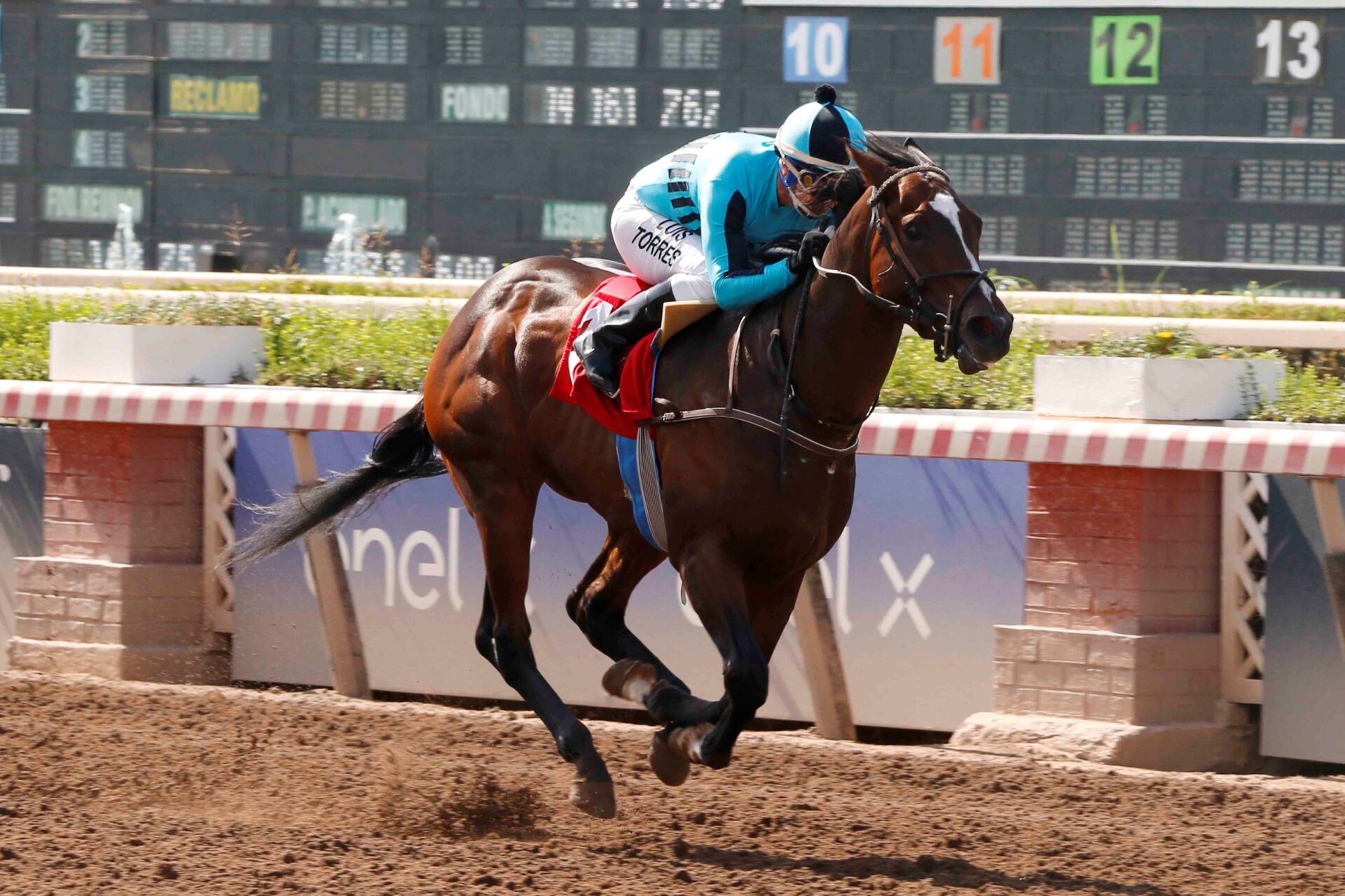 Orgullo Vencido, horse, Ahora II, Clásico Héctor Moltedo Chichizola, sábado, 9 de marzo de 2023, Hipódromo Chile. Foto: Jaime Cortés
