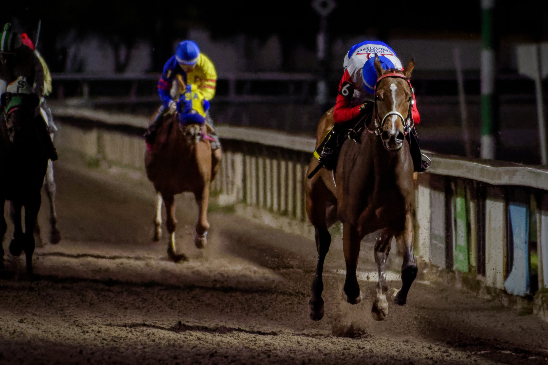 Preciosa Zafiro, horses, Cuadra Tehuantepec, Clásico Aniversario, Hipódromo de Las Américas, sábado, 11 de marzo de 2023. Foto: Miguel Ángel Espinoza