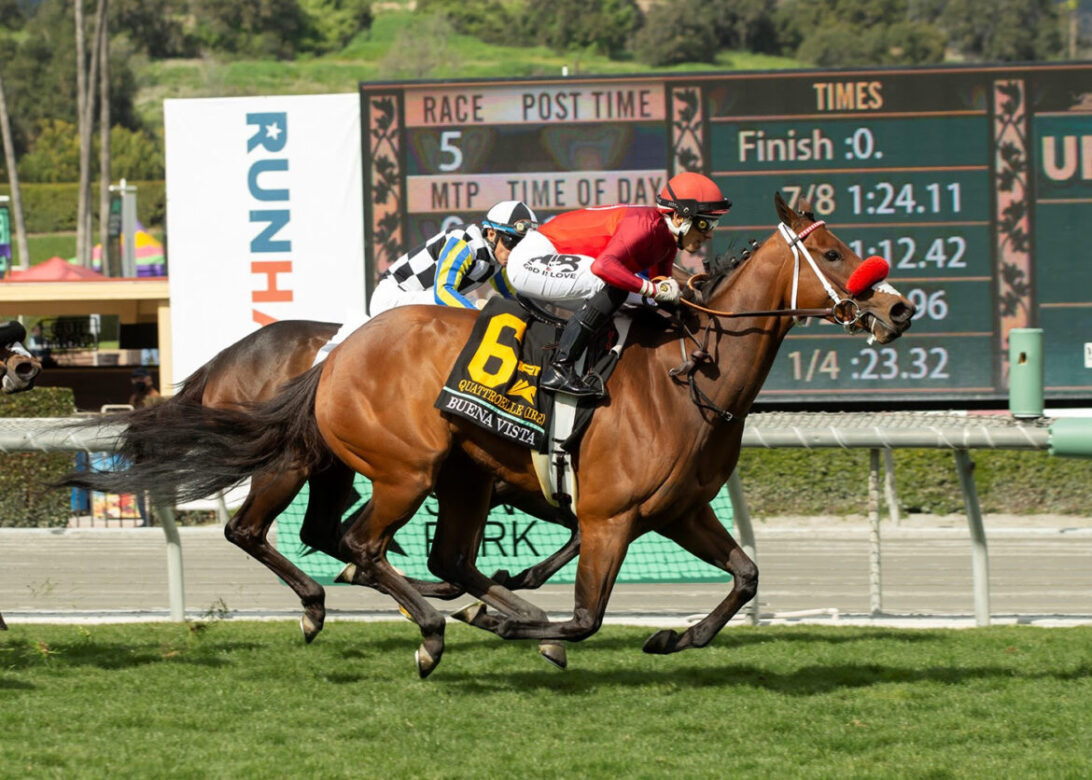 Quattroelle, Horses, Frosted, Buena Vista Stakes, sábado, 4 de marzo de 2023, Santa Anita Park. Foto: Benoit Photo