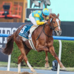 Derma Sotogake, horse, Shadai Farm, UAE Derby, Meydan Racecourse, sábado, 25 de marzo de 2023. Foto: Dubái Racing Club