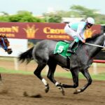 Sol Príncipe Gris, horse, Summer Front, Clásico Jockey Club de Venezuela, sábado, 25 de marzo de 2023, La Rinconada. Foto: Erick Ruiz Prensa CODERE Panamá
