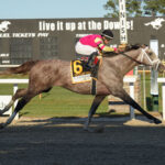 Tapit Trice, horse, Gainesway Farm, Tampa Bay Derby, sábado, 11 de marzo de 2023 Tampa Bay Downs Foto: SV Photography