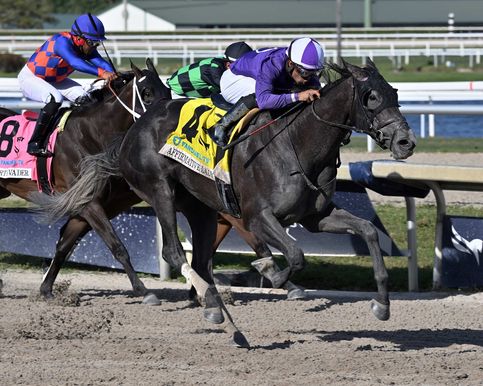 Affirmative Lady, horse, Alastar Thoroughbred, Gulfstream Park Oaks, sábado, 1 de abril de 2023, Gulsftream Park. Foto: Coglianese Photo