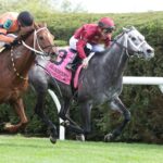 Caravel, horse, Mizzent Mast, Shakertown Stakes, sábado, 8 de abril de 2023, Keeneland. Foto: Coady Photography