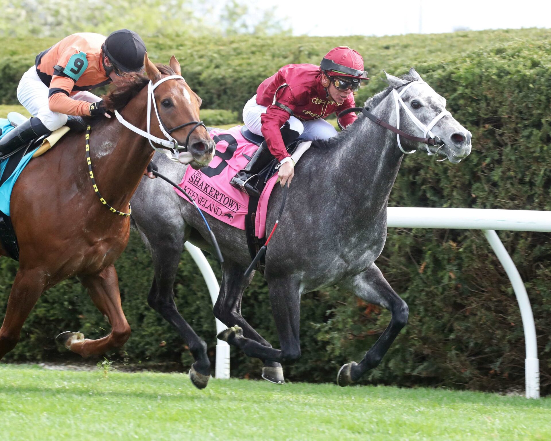 Caravel, horse, Mizzent Mast, Shakertown Stakes, sábado, 8 de abril de 2023, Keeneland. Foto: Coady Photography
