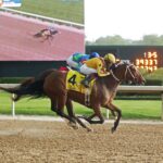 Clairiere, horse, Curlin, Apple Blossom Stakes, sábado, 15 de abril de 2023, Oaklawn Park. Foto: Coady Photo