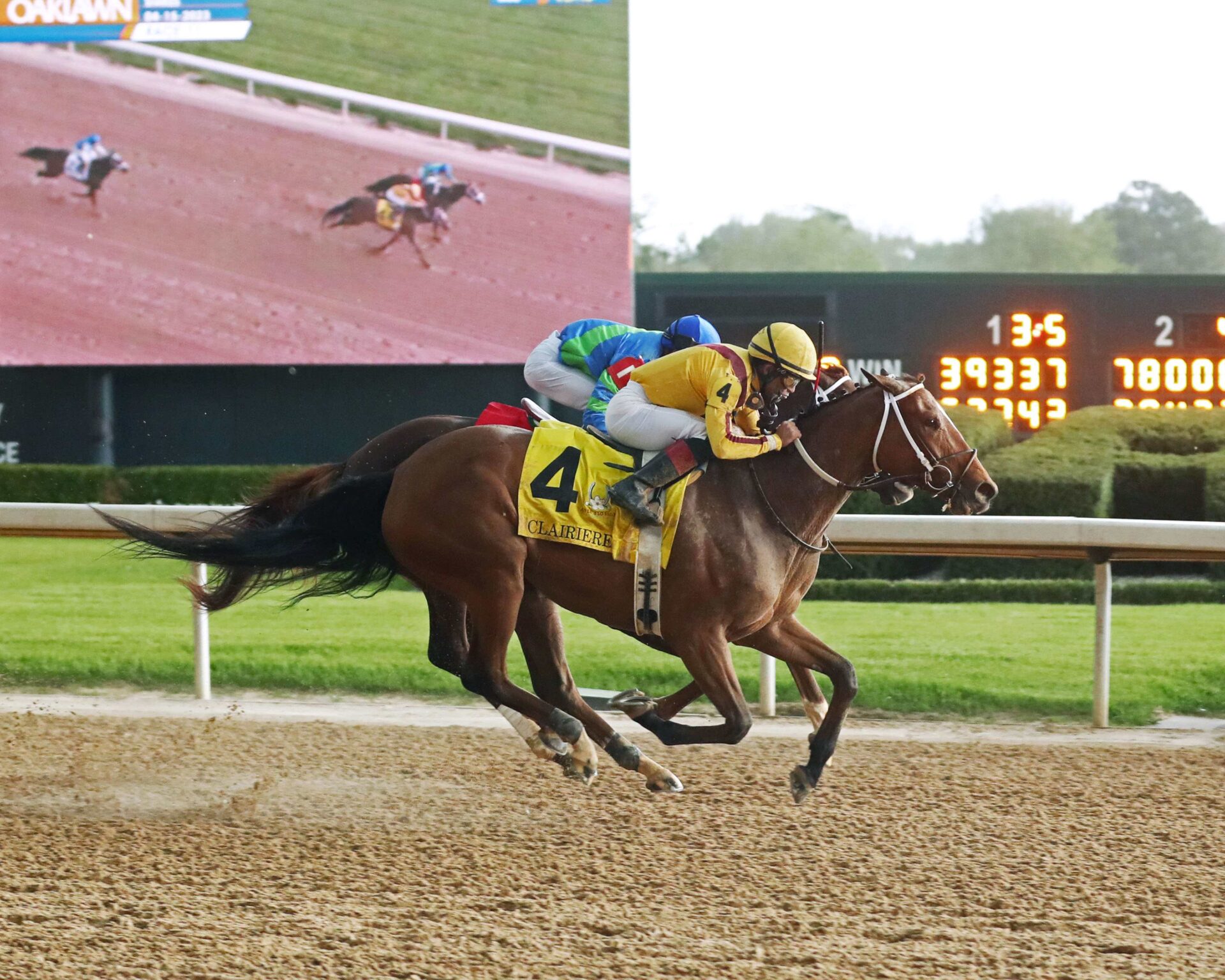 Clairiere, horse, Curlin, Apple Blossom Stakes, sábado, 15 de abril de 2023, Oaklawn Park. Foto: Coady Photo