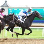 Defining Purpose, horse, Cross Traffic, Central Bank Ashland, viernes, 7 de abril de 2023, Keeneland. Foto: Coady Photo