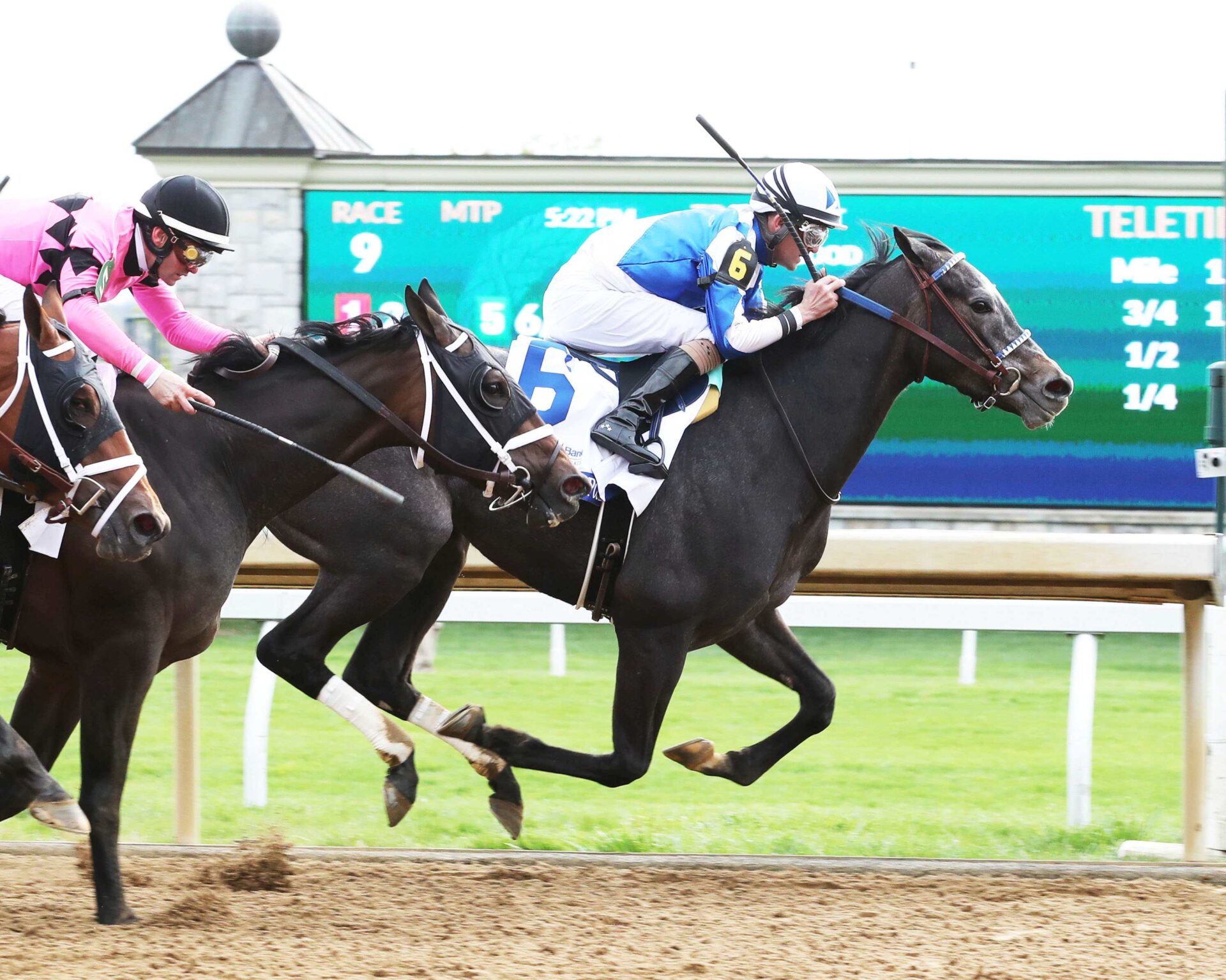 Defining Purpose, horse, Cross Traffic, Central Bank Ashland, viernes, 7 de abril de 2023, Keeneland. Foto: Coady Photo