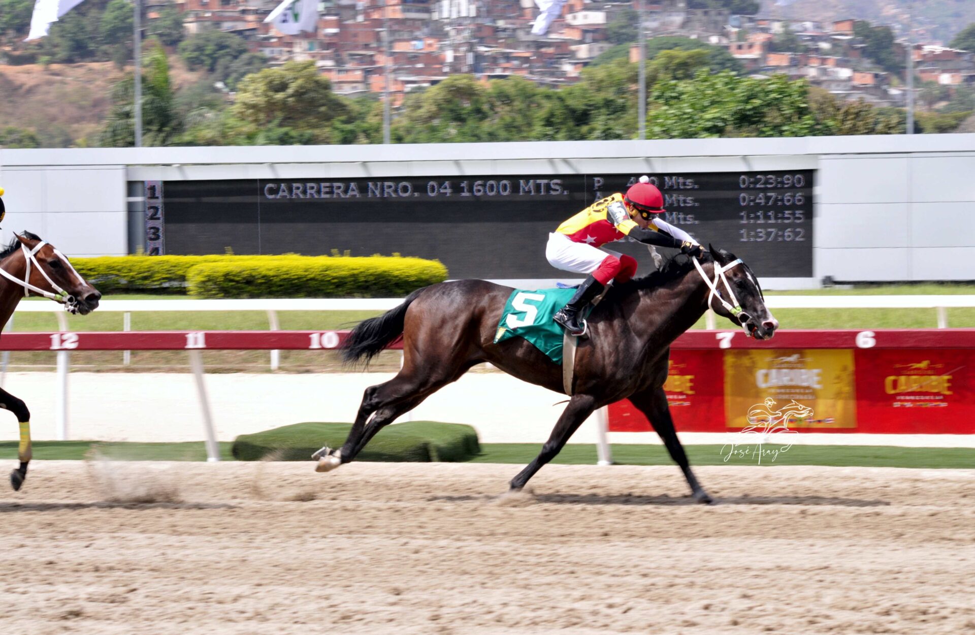 Fast Sensations, horse, Haras Los Caracaros, Clásico Manuel Fonseca, domingo, 9 de abril de 2023, La Rinconada. Foto: José Antonio Aray