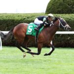 Gaslight Dancer, horse, City Of Light, Palisades Stakes, domingo, 16 de abril de 2023, Keeneland. Foto: Coady Photography