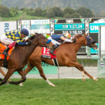 Gold Phoenix, Horses, Belardo, Frank E Kilroe Mile Stakes, sábado, 4 de marzo de 2023, Santa Anita Park. Foto: Benoit Photo