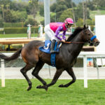 Johannes, Horses, Nyquist, Baffle Stakes, domingo, 5 de marzo de 2023, Santa Anita Park. Foto: Benoit Photo
