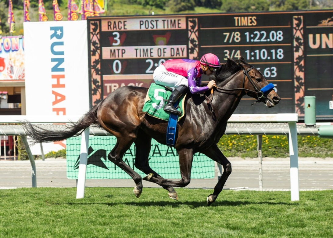 Johannes, Horses, Nyquist, Pasadena Stakes, domingo, 2 de abril de 2023, Santa Anita Park. Foto: Benoit Photo