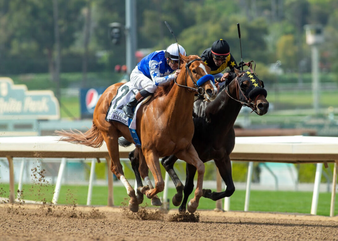 Kangaroo Court, Horses, Dads Caps, Echo Eddie Stakes, sábado, 8 de abril de 2023, Santa Anita Park. Foto: Benoit Photo