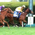 Love Reigns, horse, Stonestreet Stable , Fanduel Limestone Stakes, viernes, 14 de abril de 2023, Keeneland. Foto: Coady Photo